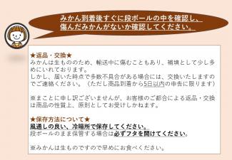 田中さん家のみかん　2Lサイズ4.7kg　(税込・送料無料)